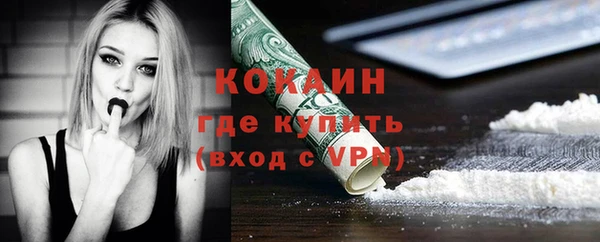 гидра Горно-Алтайск