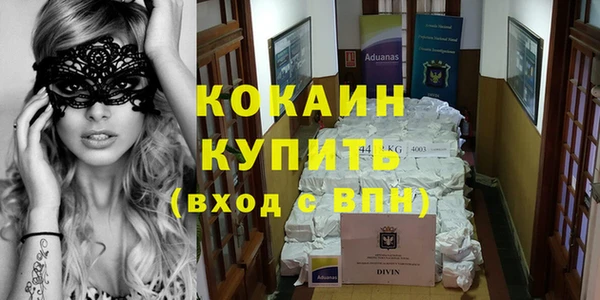 гидра Горно-Алтайск